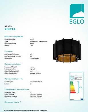 Потолочный светильник Eglo PINETA 98339
