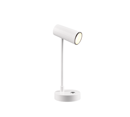 Настольная лампа аккумуляторная Reality R52661101 Lenny