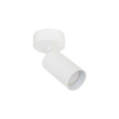 Точковий світильник TK LIGHTING 10794 AMIS