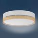 Потолочный светильник TK LIGHTING 6536 PAGLIA