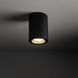 Точковий світильник TK LIGHTING 10933 LIGNO