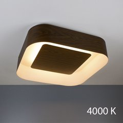 Потолочный светильник Zenith LED 4000K Imperium Light 398165.45.92