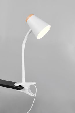 Настільна лампа REALITY R25831101 PONGO