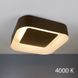 Стельовий світильник Zenith LED 4000K Imperium Light 398165.45.92