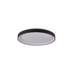 Потолочный светильник Italux PLF-53675-048RC-BK-3KS4K Vico