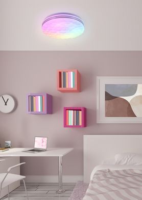 Потолочный светильник REALITY R67131100 TIGER