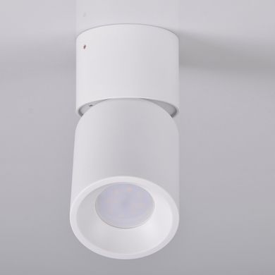 Точечный светильник Polux 314239 Nixa