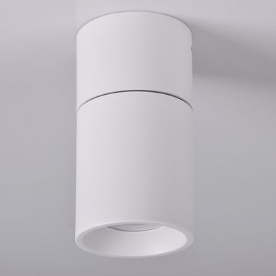 Точечный светильник Polux 314239 Nixa