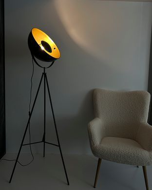 Торшер Polux 327291 Matylda