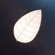 Стельовий світильник Leaf Imperium Light 72558.01.01