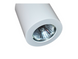 Точковий світильник AZzardo BORIS AZ1054 (GM4108-WH)