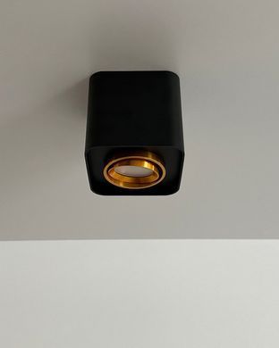 Точечный светильник Polux 325396 Xeno