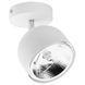 Спот TK Lighting 6512 ALTEA