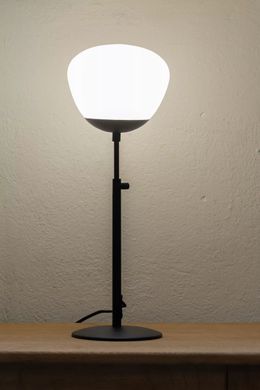 Настільна лампа Markslojd RISE 108545