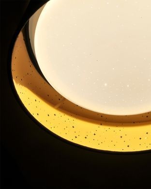 Потолочный светильник POLUX 323224 Tuluza