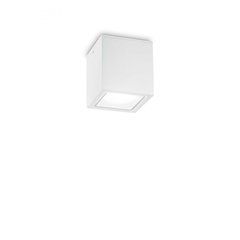 Вуличний стельовий світильник Techo 9cm WH Ideal Lux 251561
