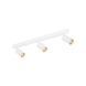 Спот TK LIGHTING 10796 AMIS