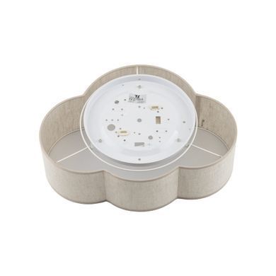Потолочный светильник TK Lighting 10006 CLOUD