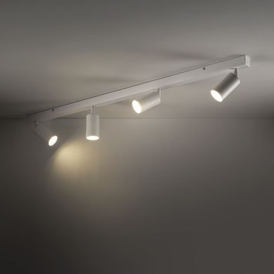 Спот TK LIGHTING 10797 AMIS