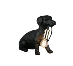 Настольная лампа REALITY R56601002 RUDI