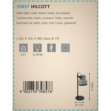 Настільна лампа HILCOTT Eglo 39857