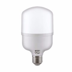 Лампа світлодіодна HOROZ ELECTRIC 001-016-0020-032 TORCH
