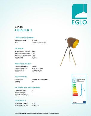 Настільна лампа Eglo CHESTER 1 49518