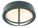 Уличный настенно-потолочный светильник Norlys Rondane 537GR