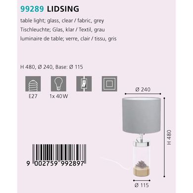 Настільна лампа LIDSING Eglo 99289