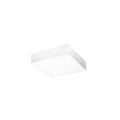 Стельовий світильник AZzardo MONZA SQUARE 40 AZ2273 (SHS563000-50-WH)