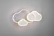 Люстра REALITY R62263131 CLOUDY