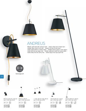 Настільна лампа TRIO ANDREUS 507500179