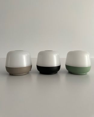 Настольная лампа POLUX 329400 Samba