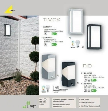 Вуличний настінний світильник TRIO TIMOK 228060142