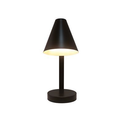 Настільна лампа Nordlux 2512305003 Wilmer