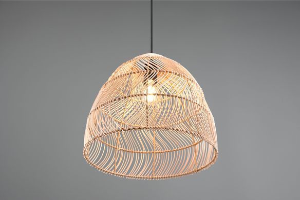 Люстра REALITY R31131036 RIKE