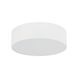 Потолочный светильник TK LIGHTING 10985 LIVO