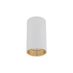 Точковий світильник TK LIGHTING 10719 AMIS